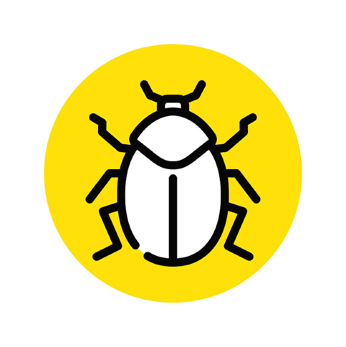 skipjack (beetle of family Elateridae)