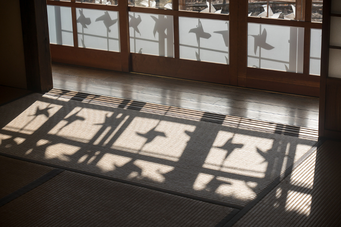shadow of a windmill reflected on a tatami mat