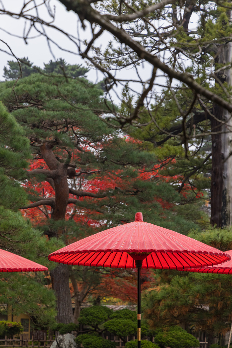Tea house Rinkaku and autumn leaves in Tsurugajo Castle Park, Aizuwakamatsu City, Fukushima Prefecture, Japan