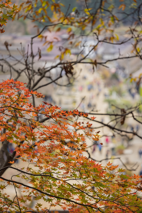 Townscape and autumn leaves of Ouchi-juku seen from the overlook in Oaza-Ouchi, Shimogo-machi, Minamiaizu-gun, Fukushima Prefecture, Japan