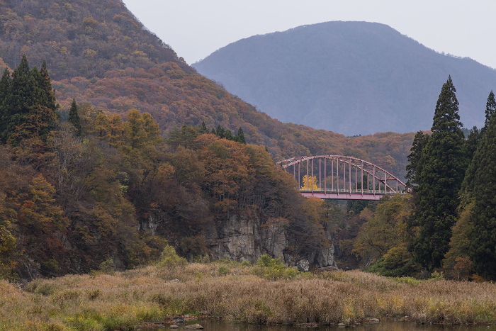 Tonohe Susuri Bridge and autumn leaves in Shimogo Town, Minamiaizu-gun, Fukushima Prefecture, Japan