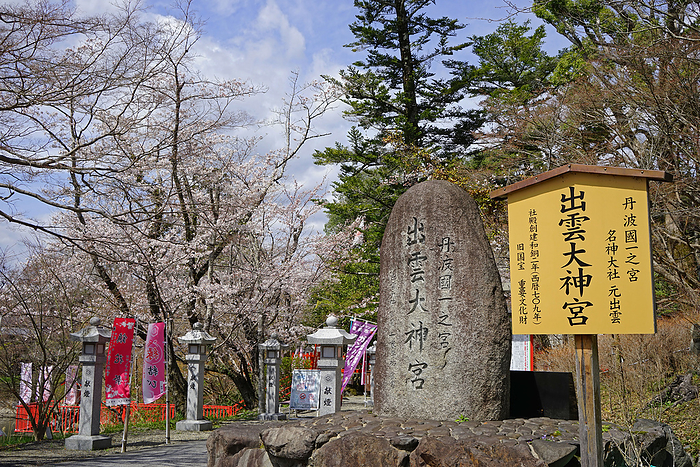 Izumo Daijingu Shrine in bloom with cherry blossoms Kameoka City, Kyoto Prefecture The first shrine in Tamba Province. Formerly known as  Izumo Shrine. Also known as  Moto Izumo  and  Sennenmiya .
