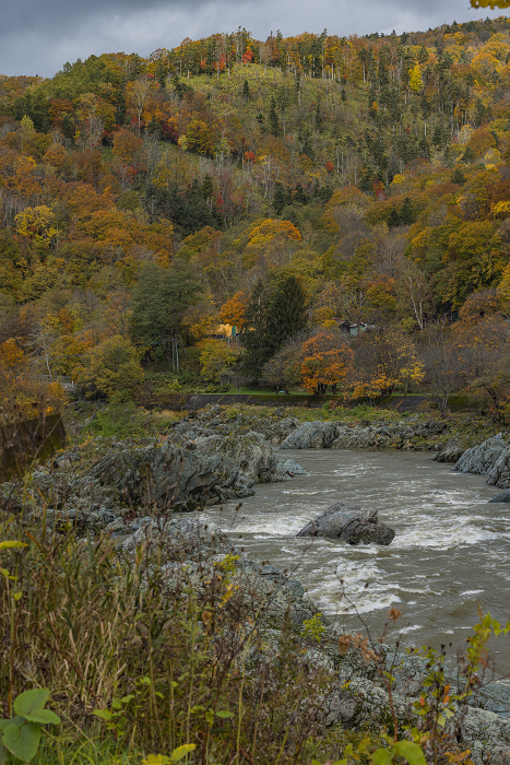 Autumn leaves and Ishikari River at Kamuikotan in Asahikawa, Hokkaido, Japan