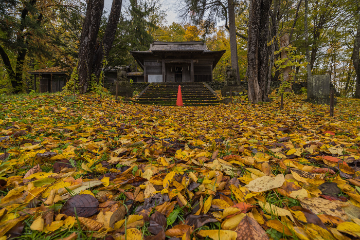 Asahiyama Inari Kintohira Shrine and autumn leaves in Asahiyama Park, Asahikawa, Hokkaido, Japan