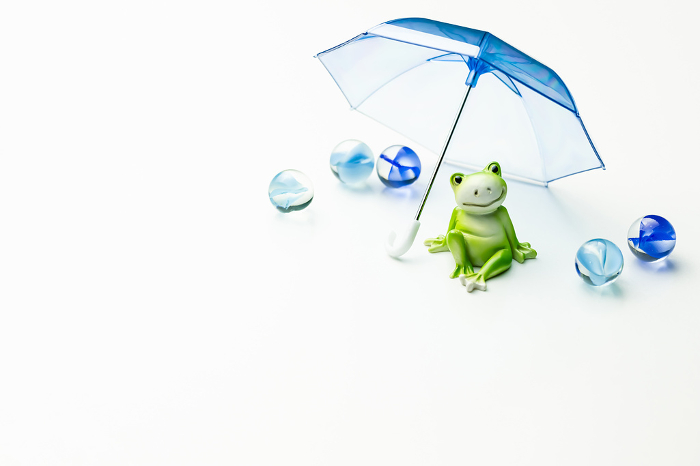 Frog and Umbrella Rainy Season Image Material