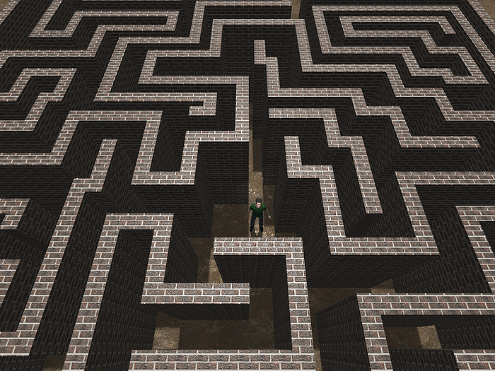 A man puzzled by the maze