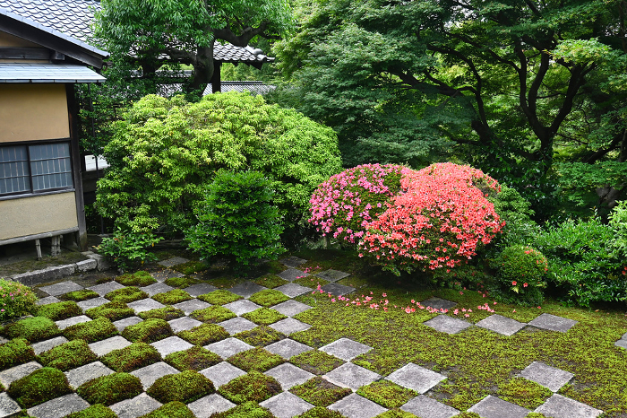 Modern Hojo North Garden at Tofukuji Temple in Kyoto City, where satsuki (Japanese azalea) is in bloom.