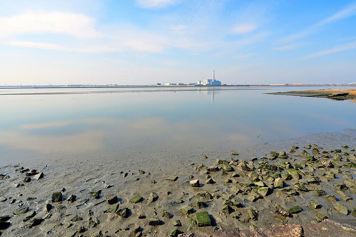 Fujimae Tideland Nagoya City Ramsar site Shonai River estuary tidal flat