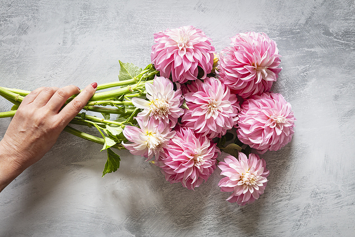 Hand of woman picking up bouquet of pink blooming 