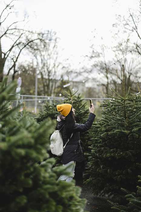 Woman photographing fir tree through smart phone at Christmas market