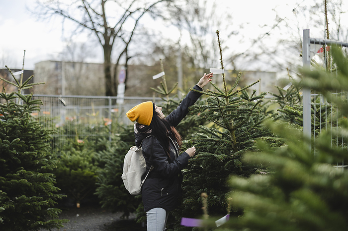 Woman shopping fir tree at Christmas market