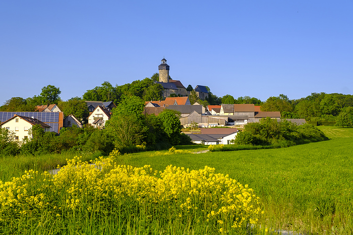 Germany, Bavaria, Wonsees, Wildflowers blooming in front of rural village