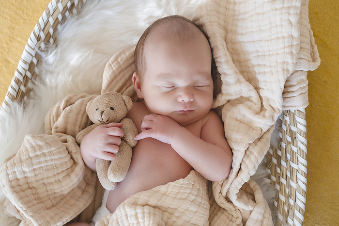 Cute baby boy sleeping with stuffed toy in basket