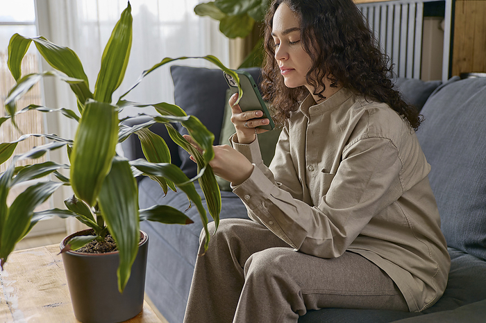 Woman photographing plant leaf through smart phone at home