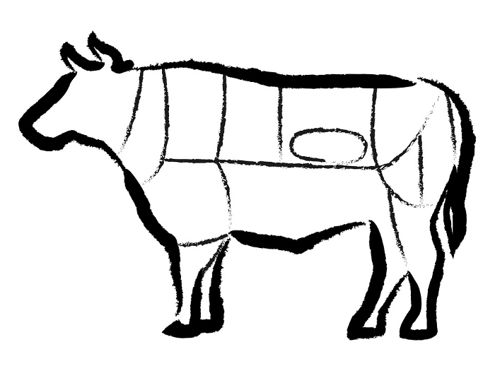 Clip art of cattle parts