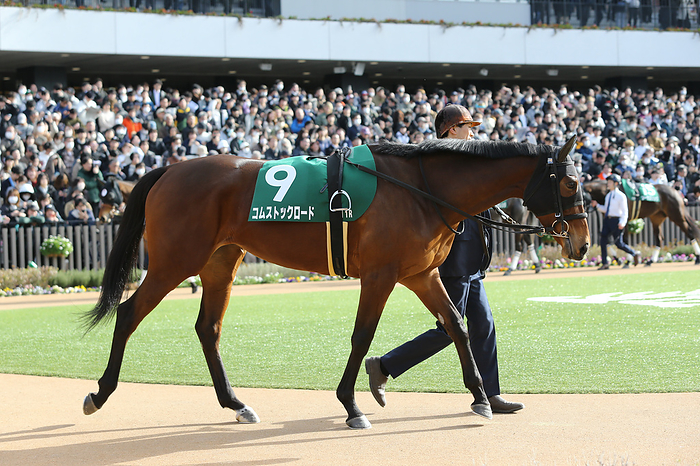 2024 Kyoto Himba Stakes G3 Comstock Lode is led through the paddock before the Kyoto Himba Stakes at Kyoto Racecourse in Kyoto, Japan on February 17, 2024. Eiichi Yamane AFLO 