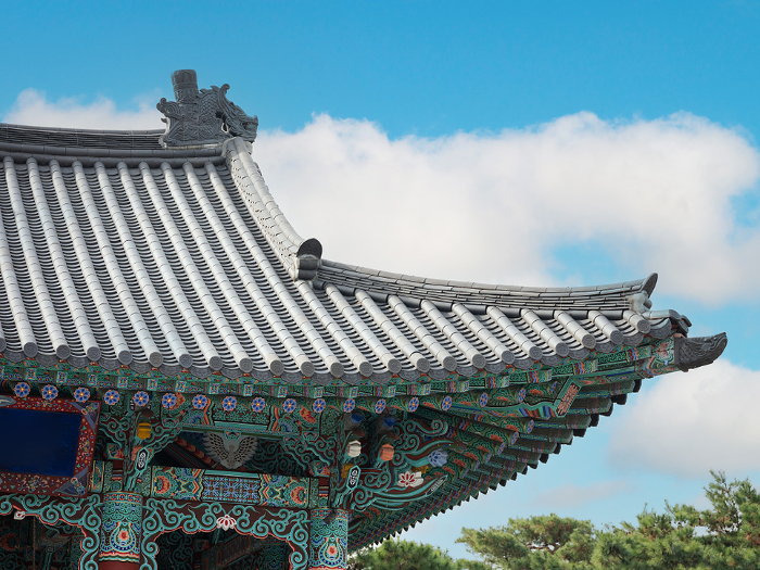 Korean traditional palace, Korea travel