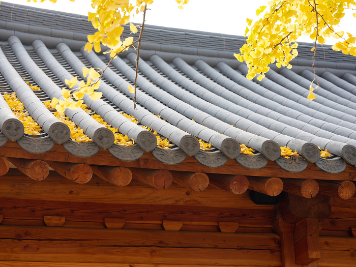 Korean traditional hanok, traditional roof tiles