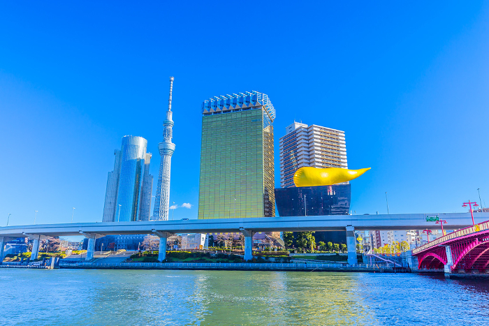 Tokyo Sumida River and Sky Tree