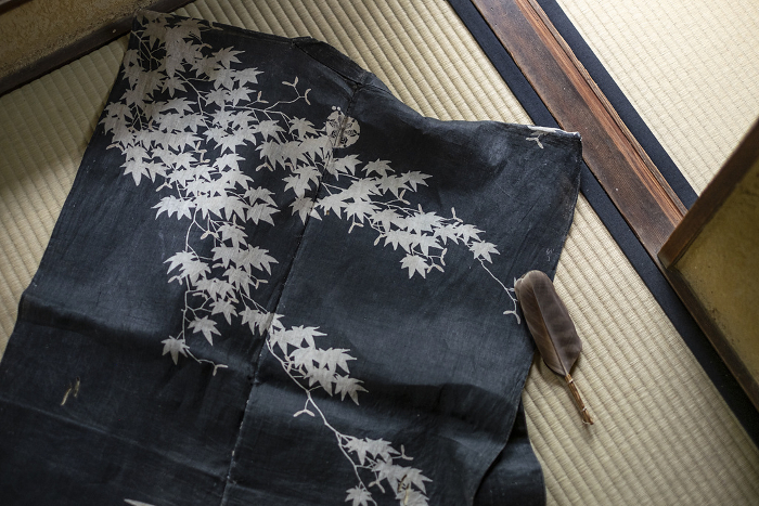 Kimono of the Edo Period