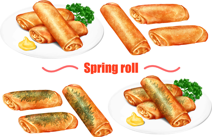 Vector Spring Rolls Spring Rolls Chinese Cuisine