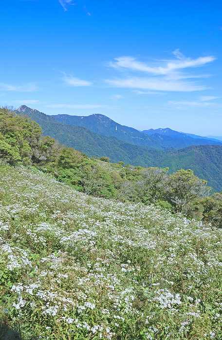 Iridogatake and the distant view of the Suzuka Mountains in bloom in Mie Prefecture