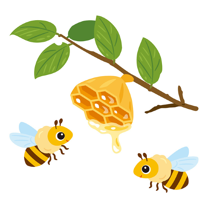 Beehive and bees on branch