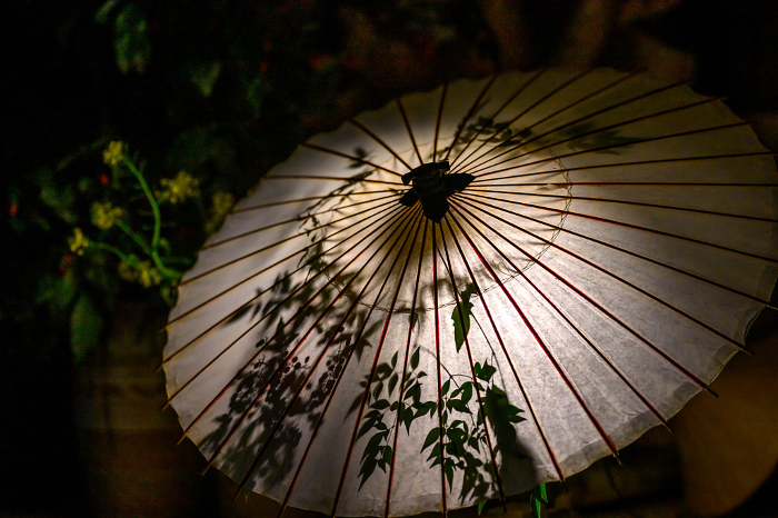 Yamaga Lantern Romance, a light competition between bamboo lanterns and Japanese umbrellas in February 2024