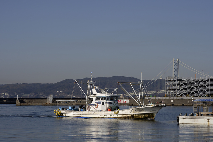 Kobe/Tarumi Fishing Port, Squid Eel Fishing Boat Arrives at Port