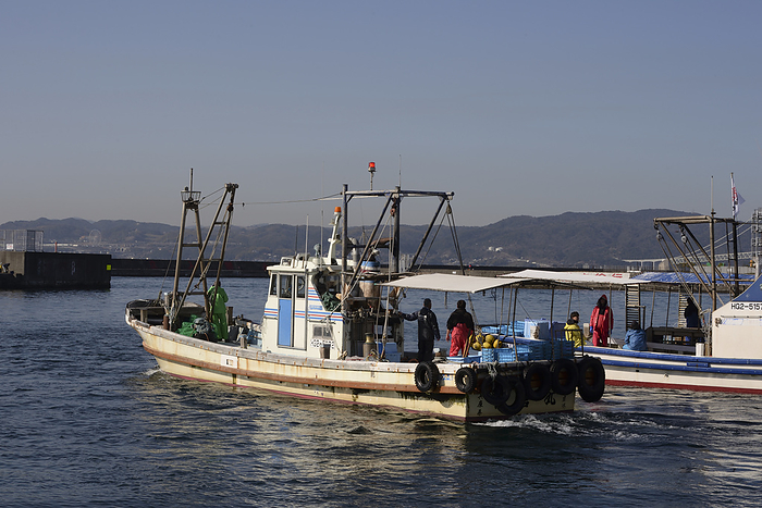 Kobe/Tarumi Fishing Port, Squid Eel Fishing Boat Sets Sail