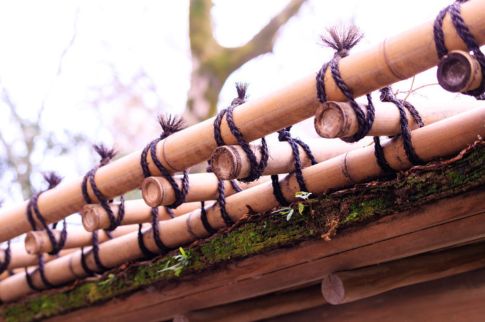 Mossy cedar bark roof and seizure bamboo