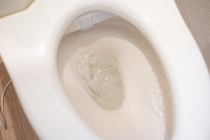 Image of flushing toilet