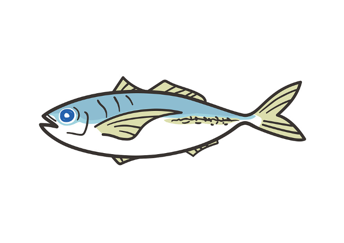 clip art of horse mackerel
