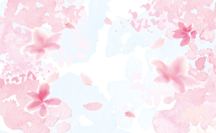 Watercolor illustration of cherry blossoms Fluffy gentle hand-drawn style illustration