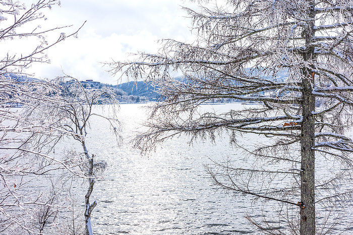 Lake Shirakaba, Nagano Prefecture