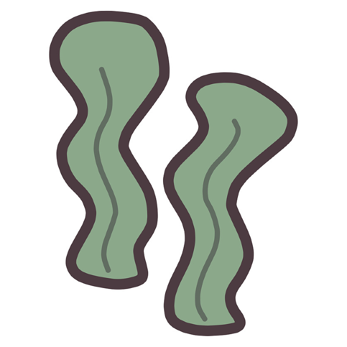 Simple deformed hand-drawn illustration of seaweed