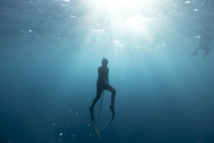 A freediver coming to the surface, South Africa, Eastern Cape, Port Saint Johns NU, by Cavan Images / Raffi Maghdessian