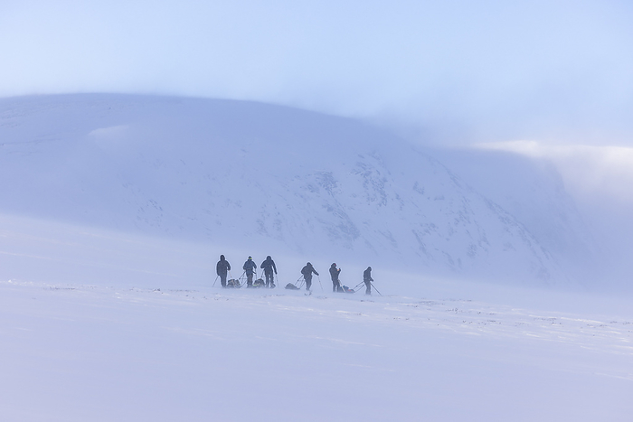 a group of ski touring pull pulkas, Dovre, Innlandet, Norway, by Cavan Images / Raffi Maghdessian