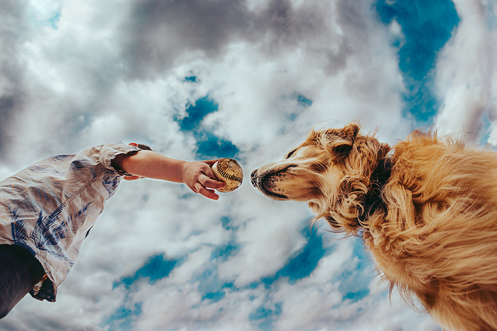Boy handing dog a ball, Tulsa, Oklahoma, United States, by Cavan Images / Kristen Ryan