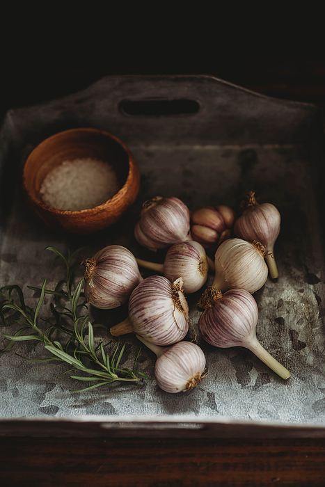 A moody image of garlic, rosemary and sea salt, Eaton, Ohio, United States, by Cavan Images / Chelsea Crosier