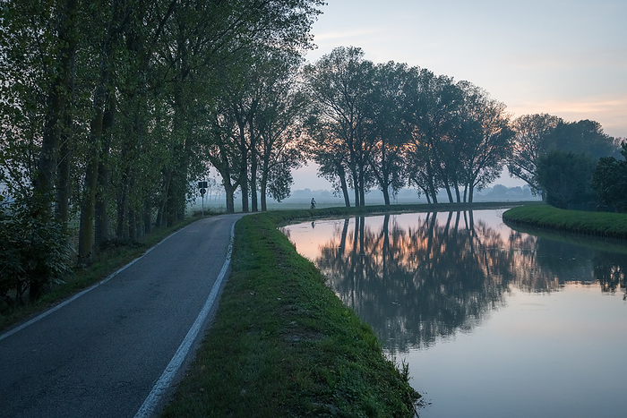 Tree lined venetian canal and road at sunset, Moranzani, Veneto, Italy, by Cavan Images / Ulderico Images