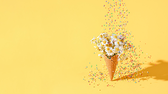 Daisy flowers in Waffle Cone on Yellow. Children's day concept, California City, California, United States, by Cavan Images / Galigrafiya