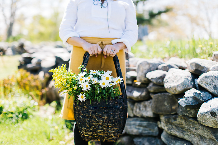 a young lady holding a basket full of daisies and goldenrod, Waldoboro, Maine, United States, by Cavan Images / Greta Tucker
