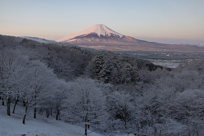 Dawn of Mt. Fuji Oshino Village, Yamanashi Prefecture From the Nijyugyoku Pass observation terrace