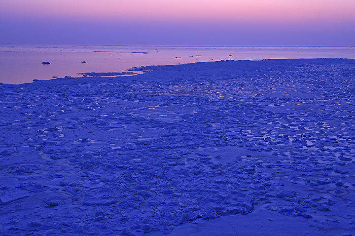 Hokkaido: Drift Ice in the Sea of Okhotsk from Cape Nodori at Dawn