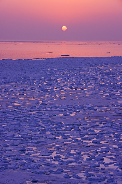 Drift ice in the Sea of Okhotsk from Cape Nodori at sunrise, Hokkaido