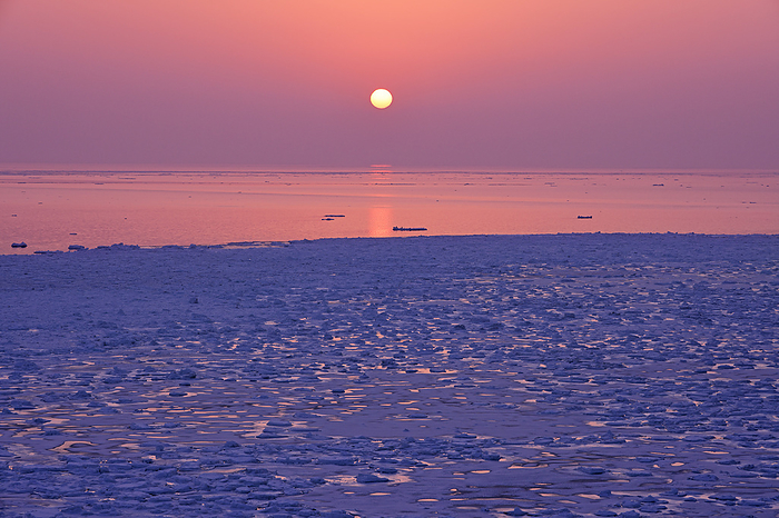 Drift ice in the Sea of Okhotsk from Cape Nodori at sunrise, Hokkaido