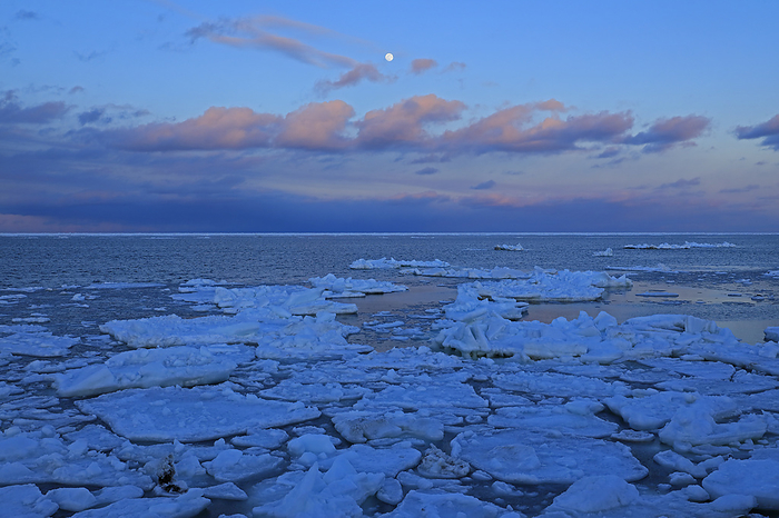 Hokkaido: Drift Ice and Moon over the Sea of Okhotsk at sunset
