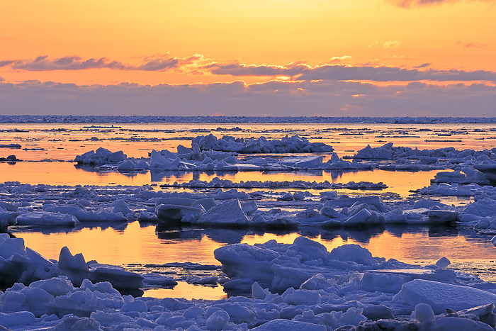 Hokkaido Morning glow drift ice on the Sea of Okhotsk