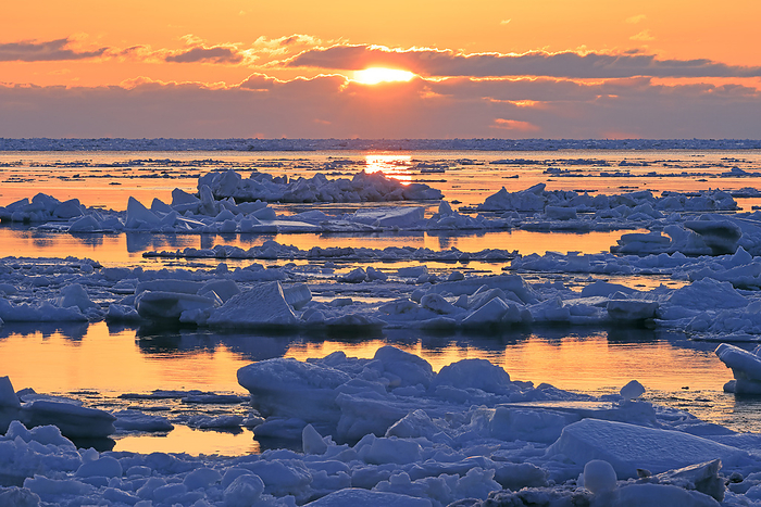 Drift ice in the Sea of Okhotsk at sunrise, Hokkaido